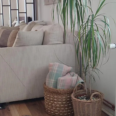 11 Apartament