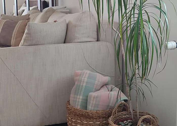 11 Апартаменты