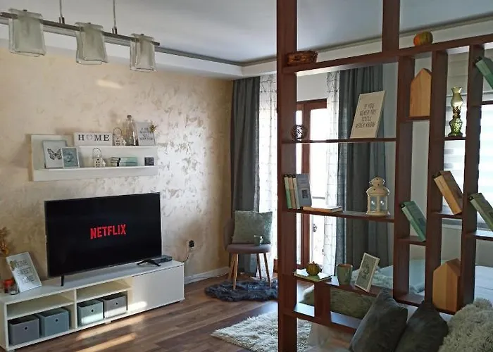 11 * Златибор